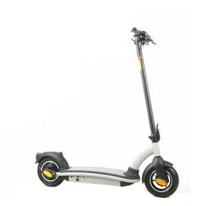 Scooter électrique léger à 2 roues 500w avec batterie au lithium