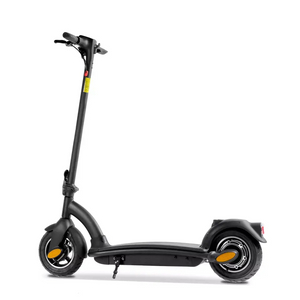 Scooter électrique extérieur de pneu de 36V 350W 10 pouces