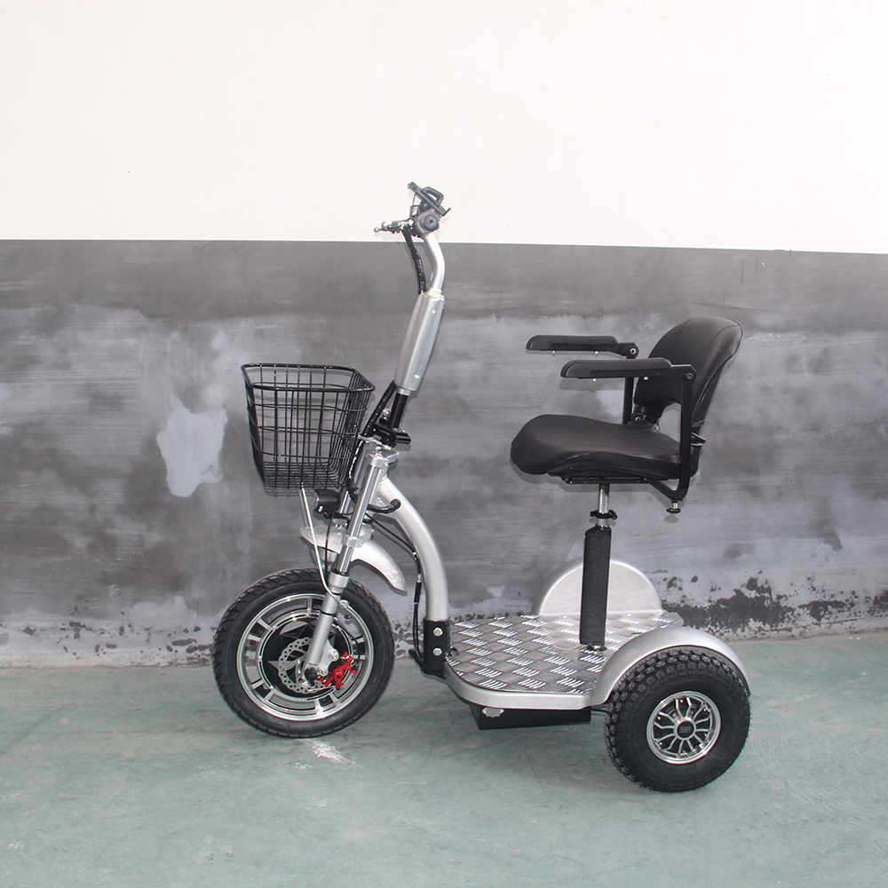 Scooter électrique puissant de tricycle de 1000W avec le scooter zappy des roues du prix bon marché 3